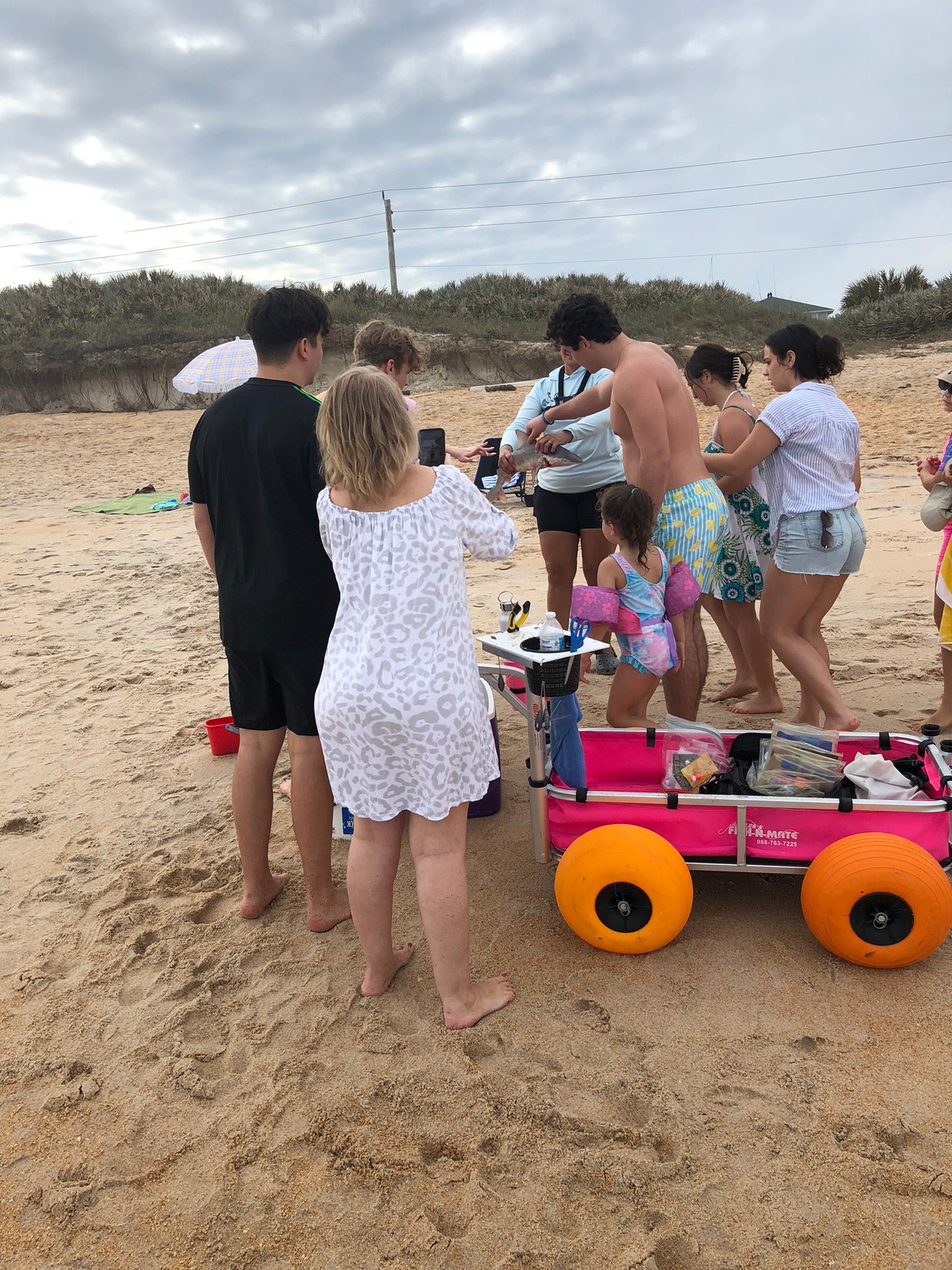 Cathy Sanders holds a bonnethead shark while several beachgoers touch the shark's back to feel the texture. The pink Fishin' Girl cart is in the foreground.